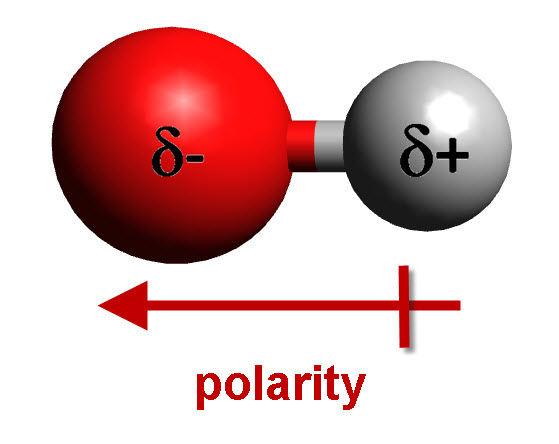 what-is-a-hydrogen-bond-with-free-chemistry-study-guide