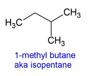 1-methyl butane